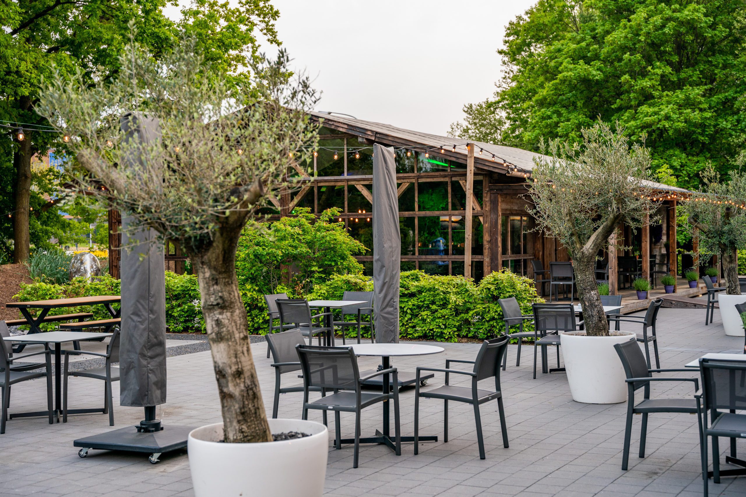 Summer Events Terrace