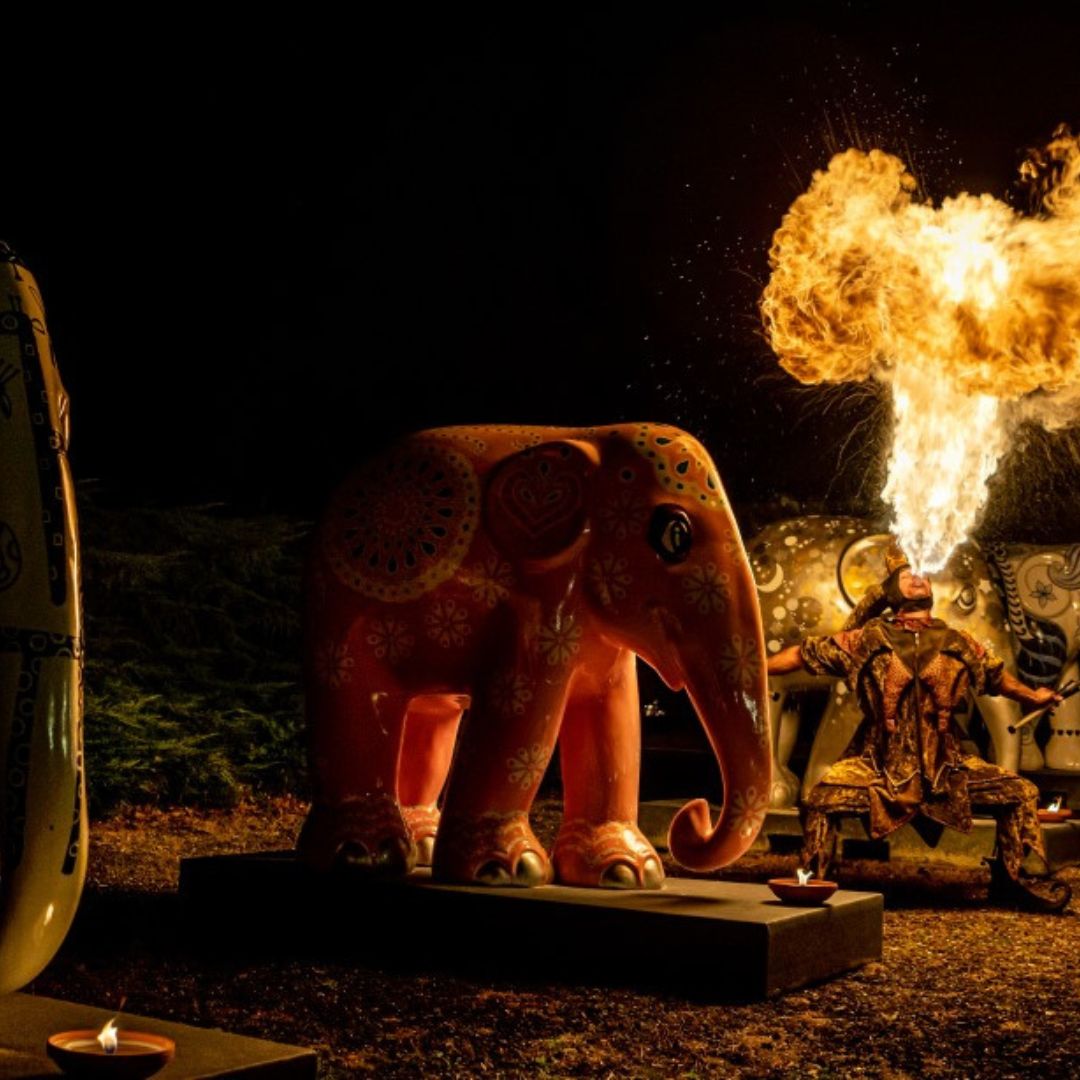 Fire (1)