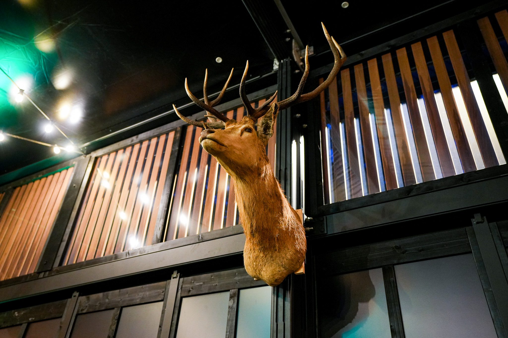 Winter event venue Brussels